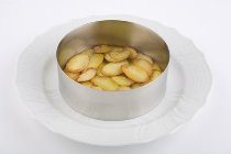 Schaumspeisering