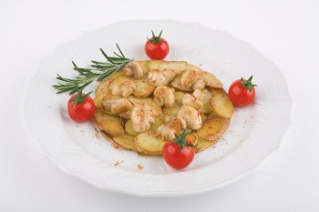 Schaumspeisering