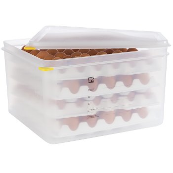 GN 2/3 Eier-Box