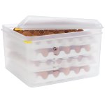 GN 2/3 Eier-Box