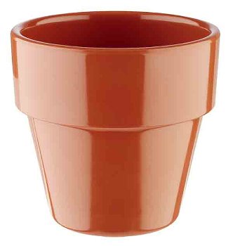 Schale -FLOWER POT-