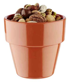 Schale -FLOWER POT-