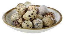 Schale -STONE ART-