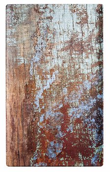 GN 1/1 Tablett -AQUARIS-