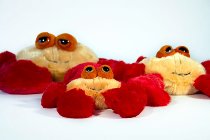 Plüsch-Krabbe "Cedric"