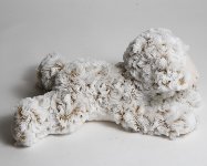 Plüsch-Lamm Träumer