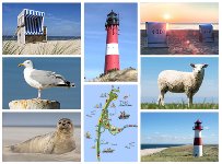 Fotomagnet-Puzzle Sylt