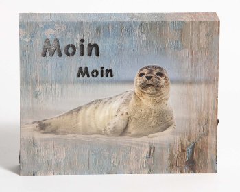 Holz-Lichtbild Shabby