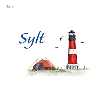 Magnetflasche Sand & Muscheln