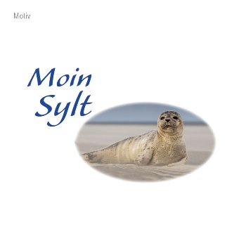 Magnetflasche Sand & Muscheln