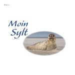 Magnetflasche Sand & Muscheln