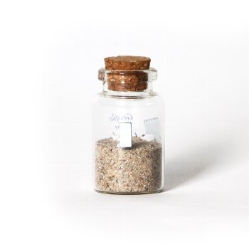 Magnetflasche Sand & Muscheln
