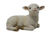 Poly-Lamm
