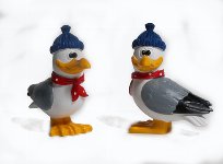 Poly-Möwe mit Mütze
