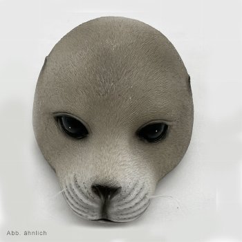 Poly-Seehundkopf schwimmend