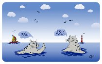 Brettchen Seehund Moin Moin